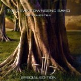 Devin Townsend - Synchestra