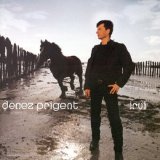 denez prigent - irvi