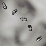 Peter Gabriel - Up