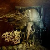 See You Next Tuesday - Parasite