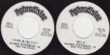 Wilmer Alexander, Jr. and The Dukes - Living In The U.S.A./Get It (US Promo)