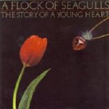 A Flock Of Seagulls - The Story Of A Young Heart