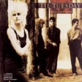 'Til Tuesday - Welcome Home