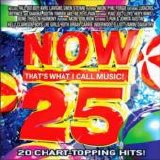 Various artists - Now Thats What I Call Music 25
