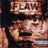 Flaw - Through The Eyes