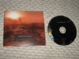 Nine Inch Nails - Y34RZ3R0R3M1X3D