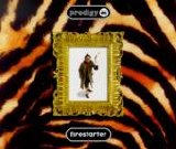 Prodigy - Firestarter