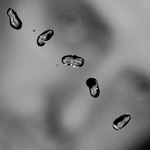 Peter Gabriel - Peter Gabriel - Up