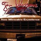 Gin Blossoms - New Miserable Experience [1992]