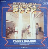 Pussy Galore - Historia De La Musica Rock