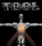 Tool - Salival