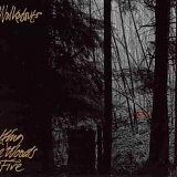 The Walkabouts - Setting The Woods On Fire