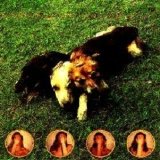 The World Of Skin - Ten Songs For Another World