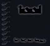 Tool - Lateralus