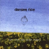 Damien Rice - Live