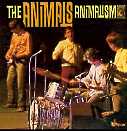 Animals - Animalisn