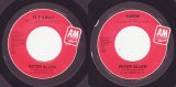 Peter Allen - Fly Away/Simon (US)
