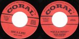 Various Artists - What Is A Wife?/What Is A Husband?(US)