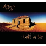 Midnight Oil - Diesel And Dust