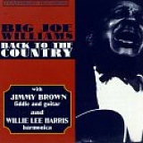 Big Joe Williams - Back to the Country