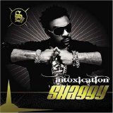 Shaggy - Intoxication