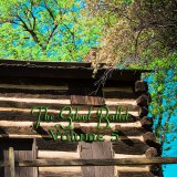 Various Artists - The Silent Ballet Volume 5