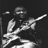 Muddy Waters - Muddy Waters the Essential Collection