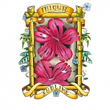 Various artists - Look At All The Love We Found: A Tribute to Sublime