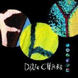 Dixie Chicks - Fly