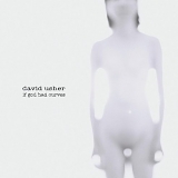 David Usher - David Usher:If God Had Curves