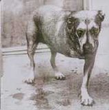 Alice In Chains - Alice In Chains