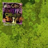 Animal Collective - Water Curses EP