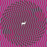 Deerhunter - Cryptograms