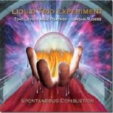 Liquid Trio Experiment - Spontaneous Combustion