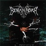 Borknagar - Empiricism (Internet)