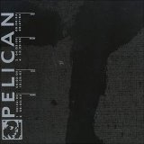 Pelican - Untitled