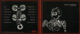 Symmetry Of Asymmetry - Useless Breed