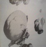 Doubled Yellow Swans - Global Clone