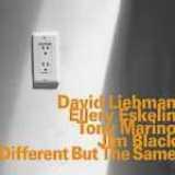 Liebman David and Eskelin Ellery - Different But The Same