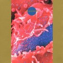 Death Ambient - Synaesthesia