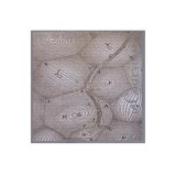 Courvoisier Sylvie - Signs and Epigrams