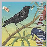 Martin Billy - Starlings