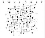 Zabrodzki Piotr - Trylobity