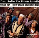 Dawkins' Ernest New Horizons Ensemble - Chicago Now, Vol. 1