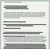 Fields Scott Ensemble - Dénouement