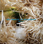 Butcher, Charles, Dörner The Contest of Pleasures - Albi Days