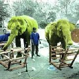 Soldier Dave & Richard Lair - Thai Elephant Orchestra