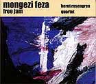 Feza Mongezi & Bernt... - Free Jam