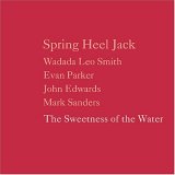 Spring Heel Jack - The Sweetness Of The Water