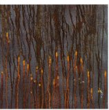 Synapscape - Asche - Scenes From A Galton's Walk